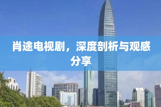 肖途电视剧，深度剖析与观感分享