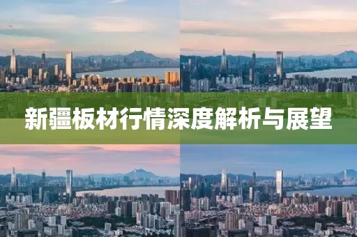 新疆板材行情深度解析与展望