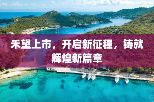 禾望上市，开启新征程，铸就辉煌新篇章