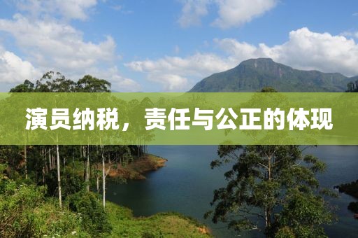 演员纳税，责任与公正的体现