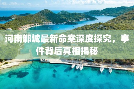 河南郸城最新命案深度探究，事件背后真相揭秘