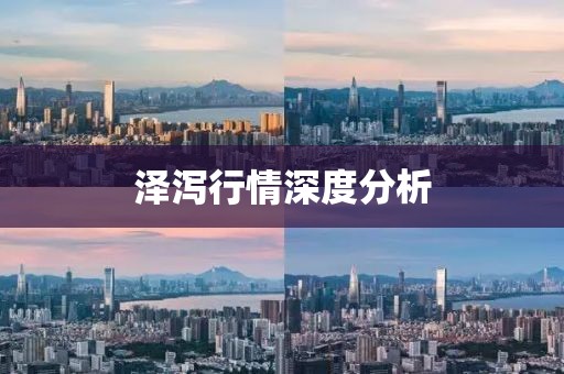 泽泻行情深度分析