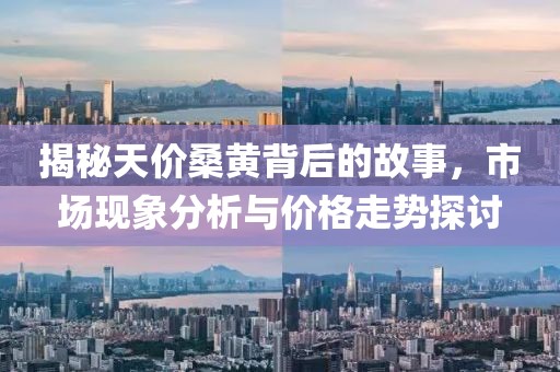 揭秘天价桑黄背后的故事,市场现象分析与价格走势探讨