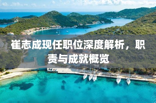 崔志成现任职位深度解析,职责与成就概览