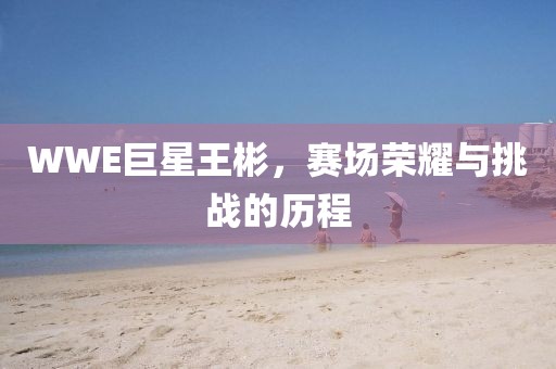 WWE巨星王彬,赛场荣耀与挑战的历程
