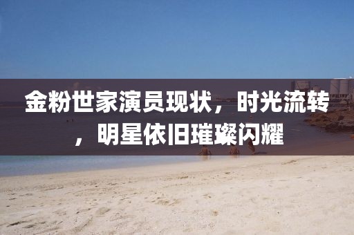 金粉世家演员现状,时光流转,明星依旧璀璨闪耀