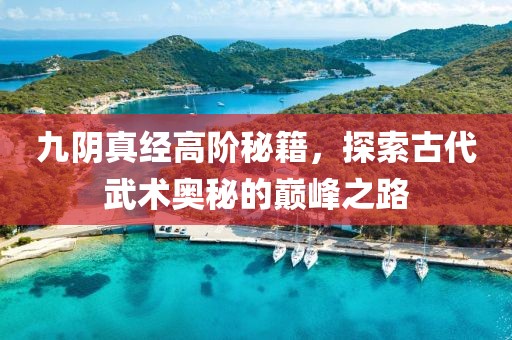 九阴真经高阶秘籍,探索古代武术奥秘的巅峰之路