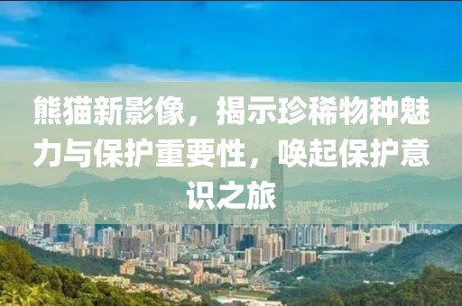 熊猫新影像,揭示珍稀物种魅力与保护重要性,唤起保护意识之旅