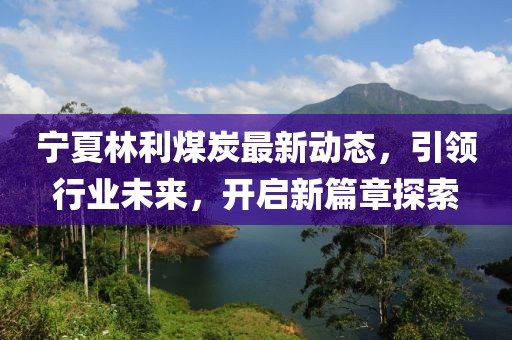 宁夏林利煤炭最新动态,引领行业未来,开启新篇章探索