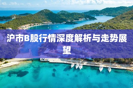 沪市B股行情深度解析与走势展望