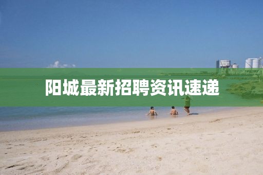 阳城最新招聘资讯速递