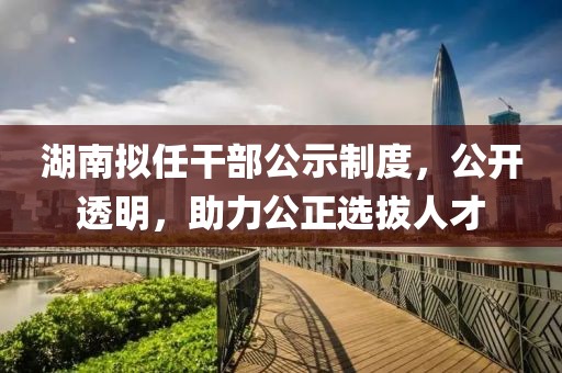 湖南拟任干部公示制度,公开透明,助力公正选拔人才