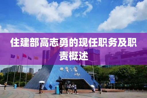 住建部高志勇的现任职务及职责概述