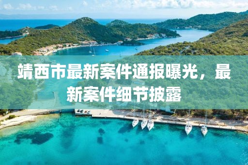 靖西市最新案件通报曝光,最新案件细节披露