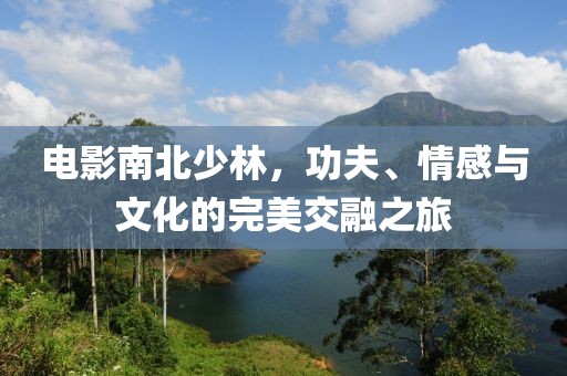 电影南北少林,功夫、情感与文化的完美交融之旅