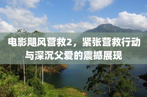 电影飓风营救2,紧张营救行动与深沉父爱的震撼展现