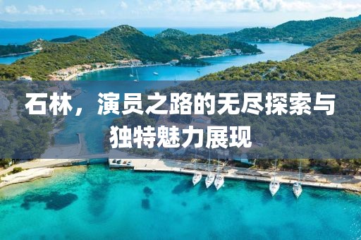 石林,演员之路的无尽探索与独特魅力展现