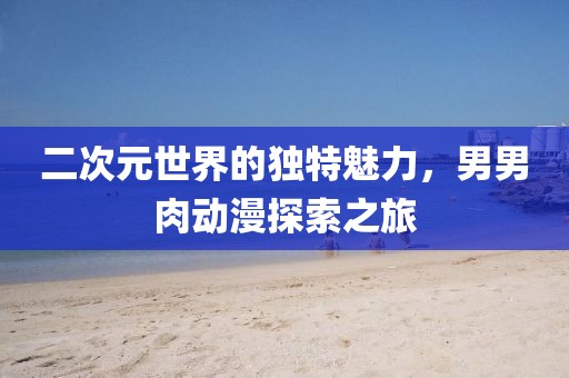 二次元世界的独特魅力,男男肉动漫探索之旅