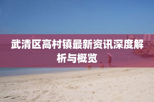 武清区高村镇最新资讯深度解析与概览