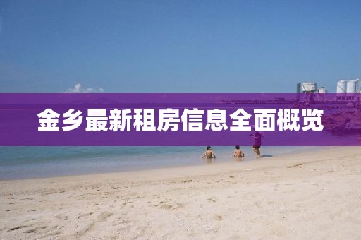 金乡最新租房信息全面概览