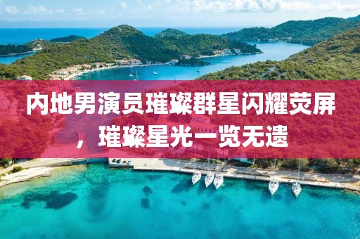 内地男演员璀璨群星闪耀荧屏,璀璨星光一览无遗