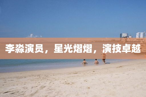 李淼演员,星光熠熠,演技卓越