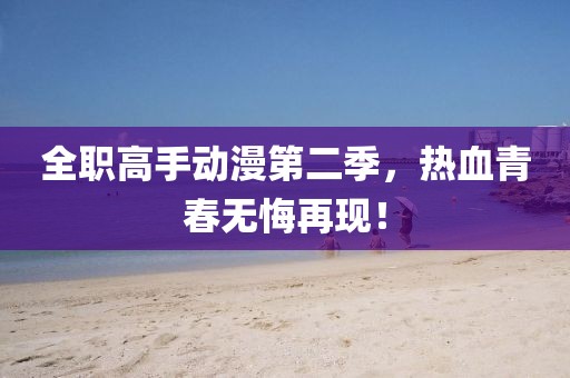 全职高手动漫第二季,热血青春无悔再现!