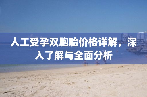 人工受孕双胞胎价格详解,深入了解与全面分析