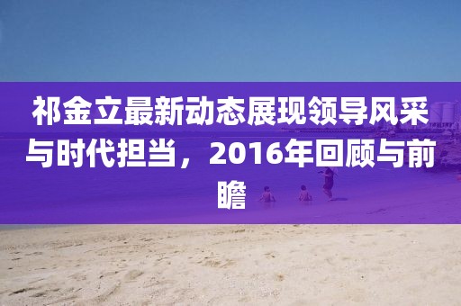 祁金立最新动态展现领导风采与时代担当,2016年回顾与前瞻