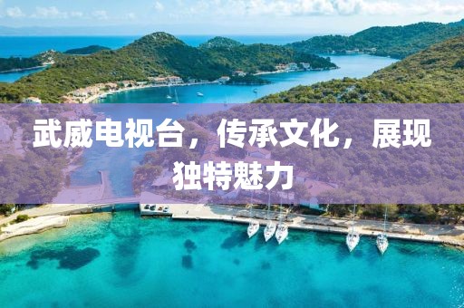 武威电视台,传承文化,展现独特魅力