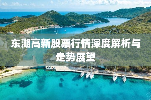 东湖高新股票行情深度解析与走势展望