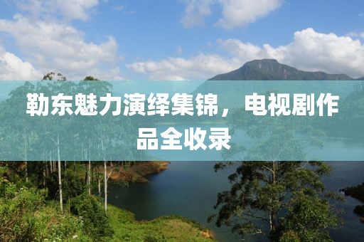 勒东魅力演绎集锦，电视剧作品全收录