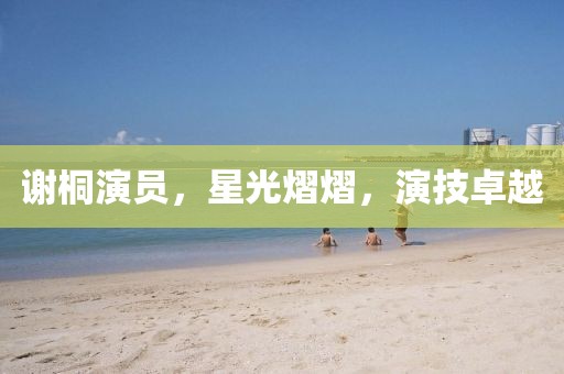 谢桐演员,星光熠熠,演技卓越