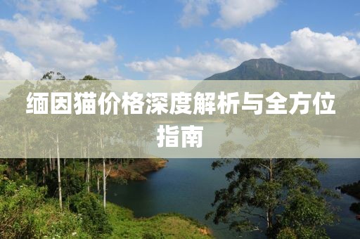 缅因猫价格深度解析与全方位指南