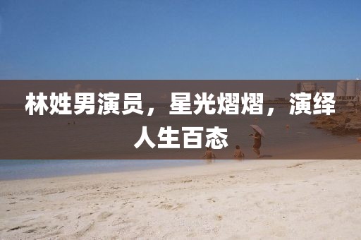 林姓男演员,星光熠熠,演绎人生百态