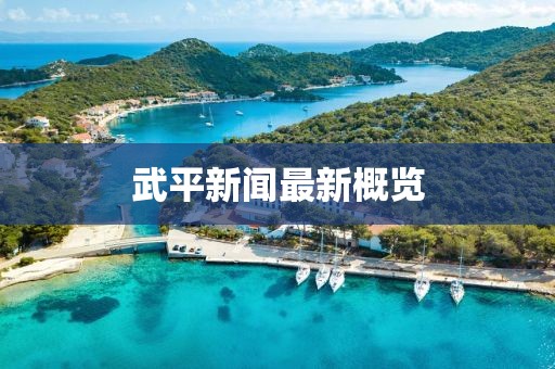 武平新闻最新概览