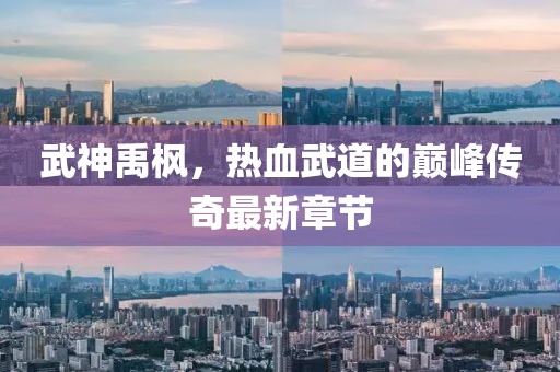 武神禹枫,热血武道的巅峰传奇最新章节