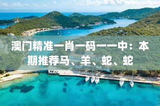 澳门精准一肖一码一一中：本期推荐马、羊、蛇、蛇