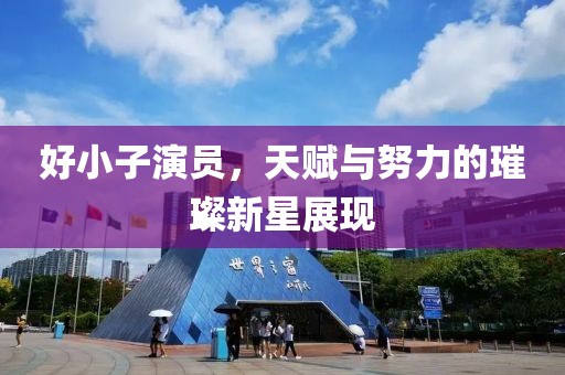 好小子演员，天赋与努力的璀璨新星展现