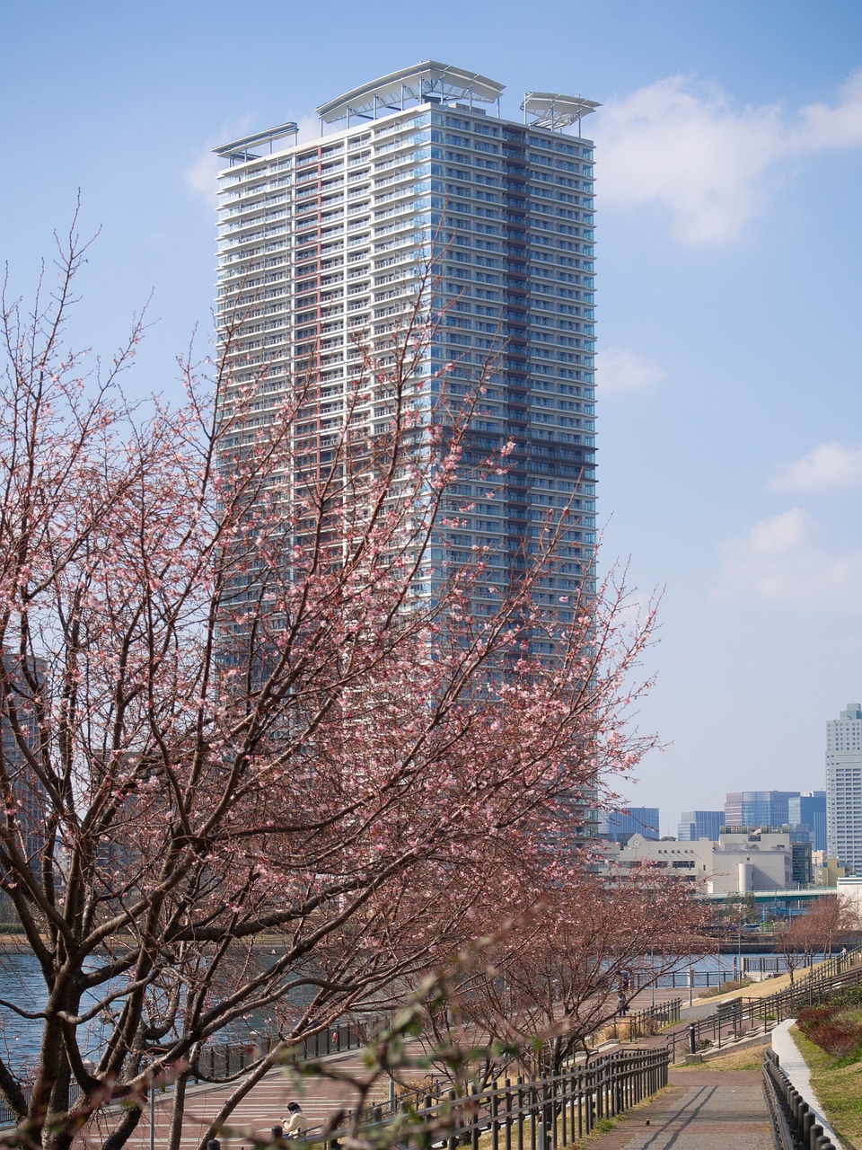 东莞城市繁华与自然美景的交融，最新风景图欣赏
