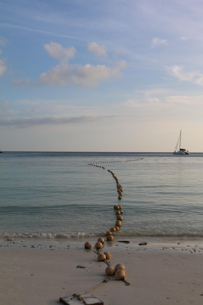 渤海海域最新风力预测，探索海洋能源的未来之路