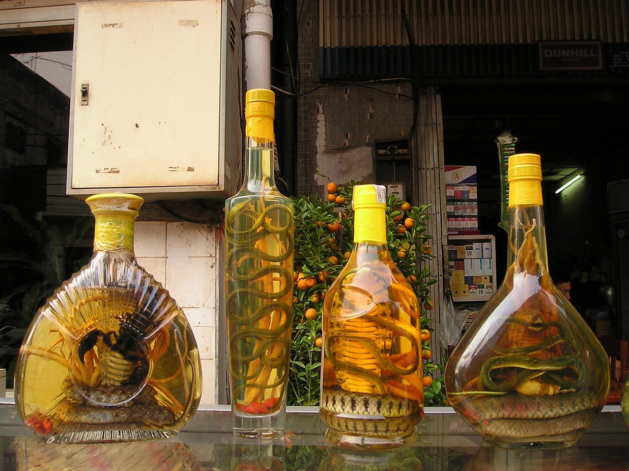 探寻西凤酒的价格，传统佳酿的价值解析