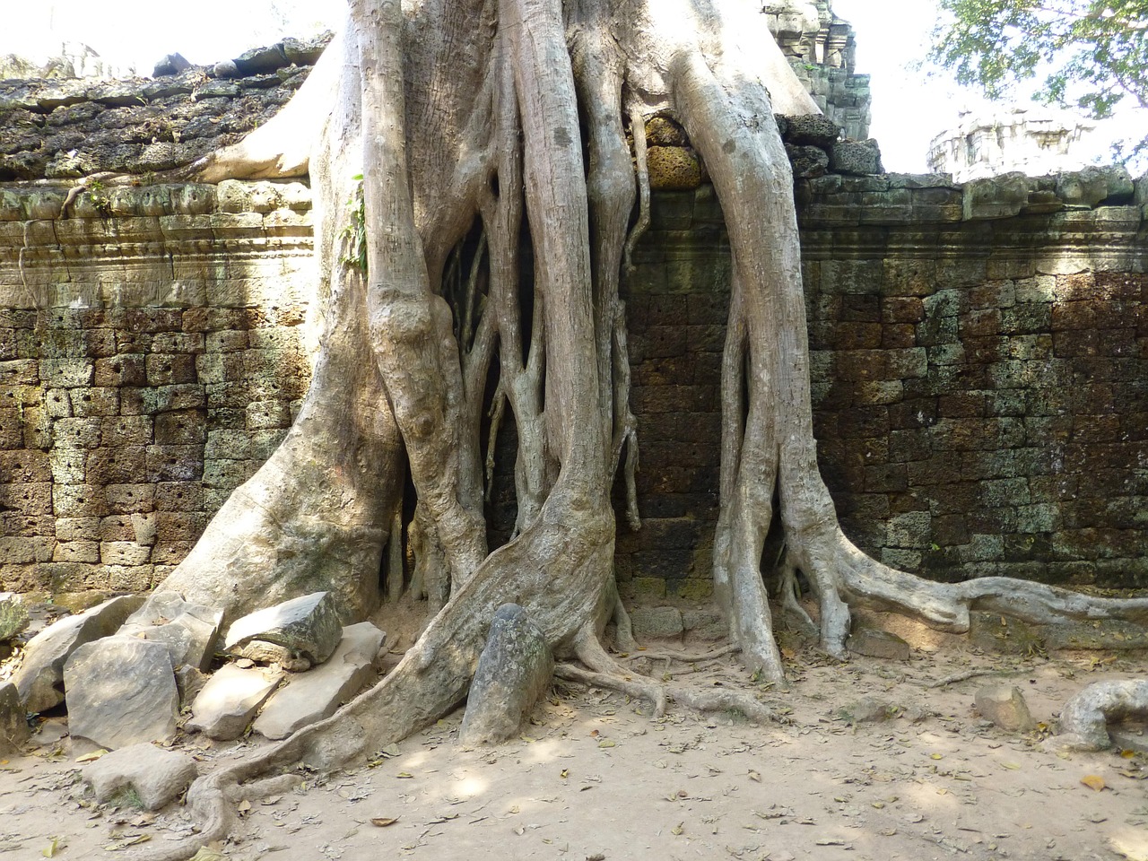 重庆文旅资讯概览，最新动态速览