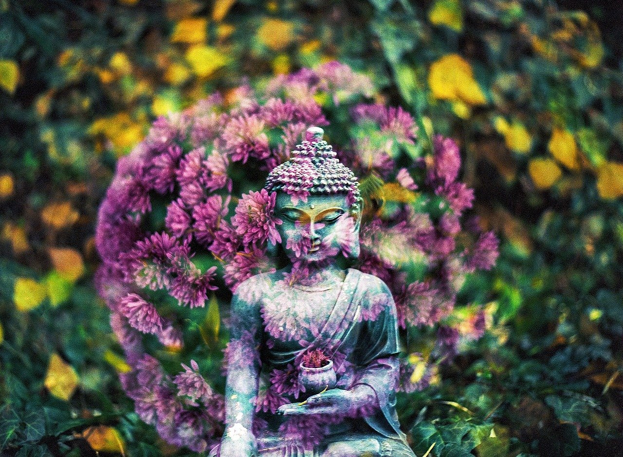 东天目山最新往生视频，自然与人文的和谐交融之美