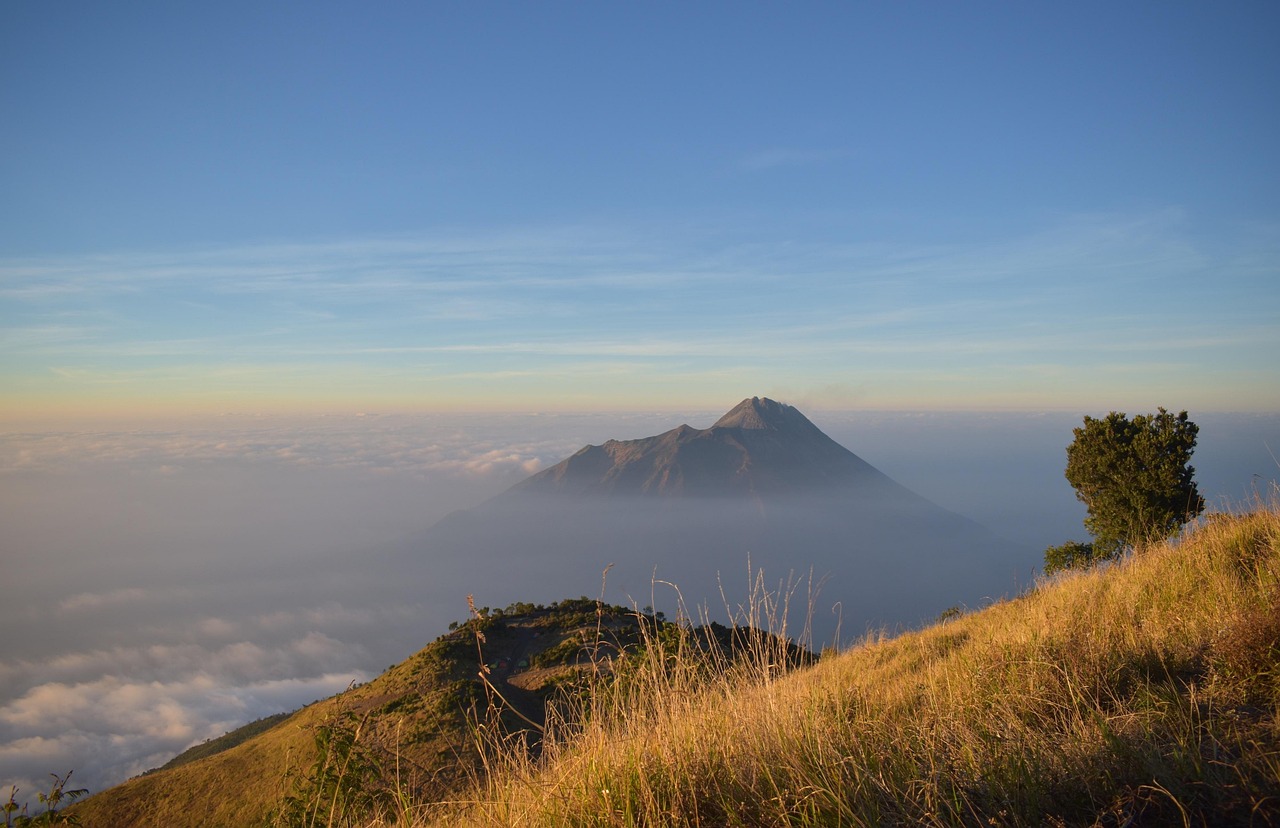 九龙山风景区门票价格详解及攻略
