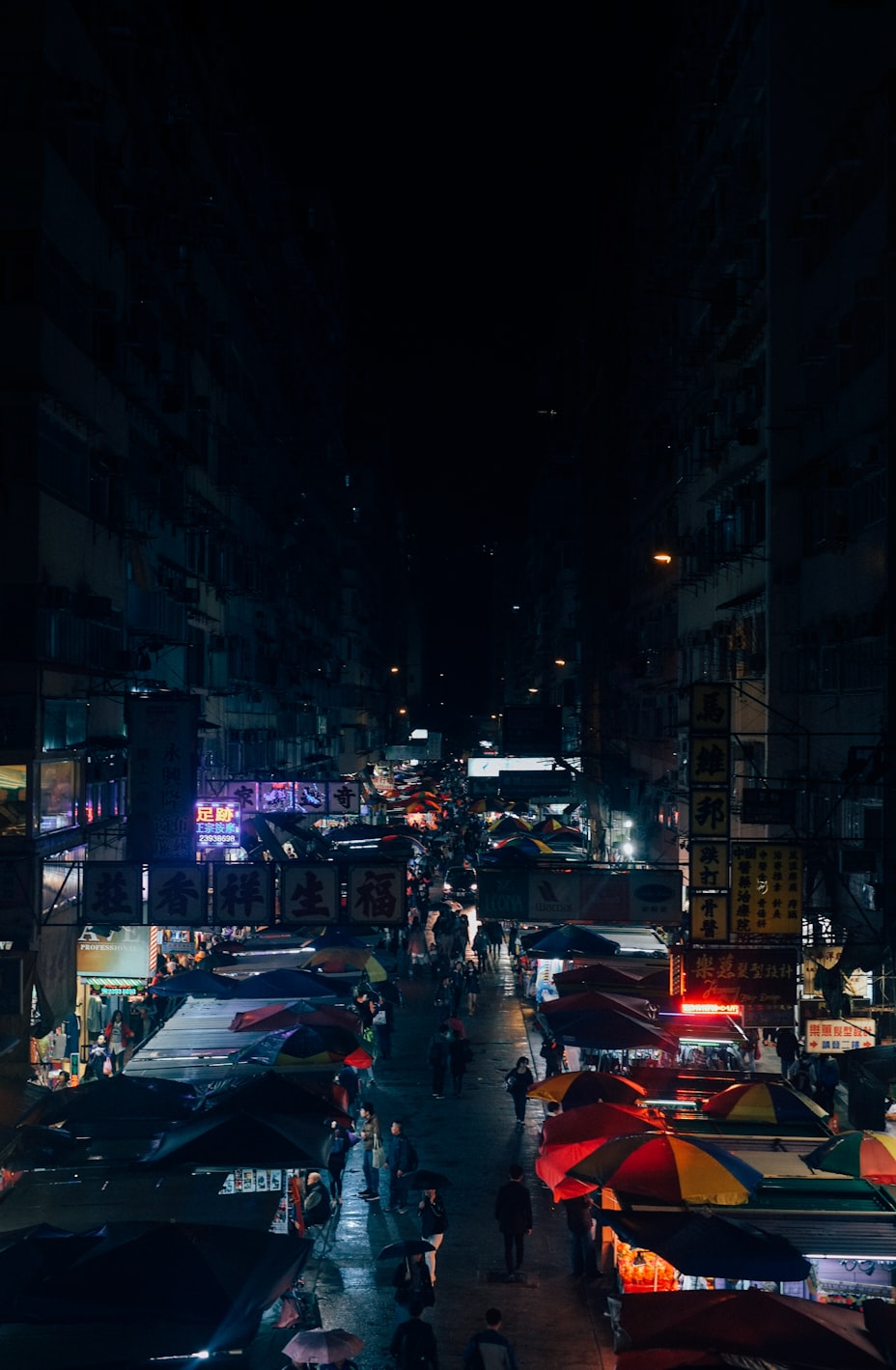 合浦明星，璀璨之光引领地方文化风采