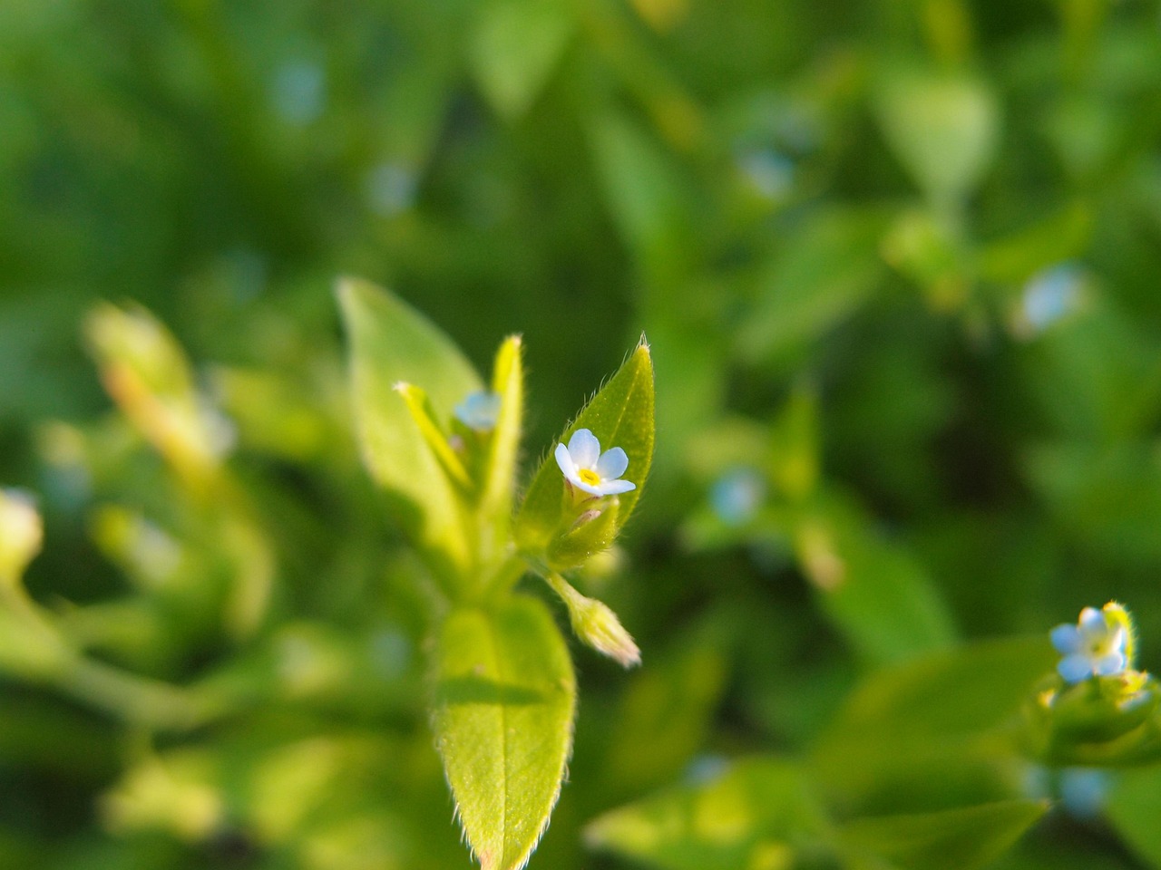 万世吉引领行业变革,共创美好未来最新动态