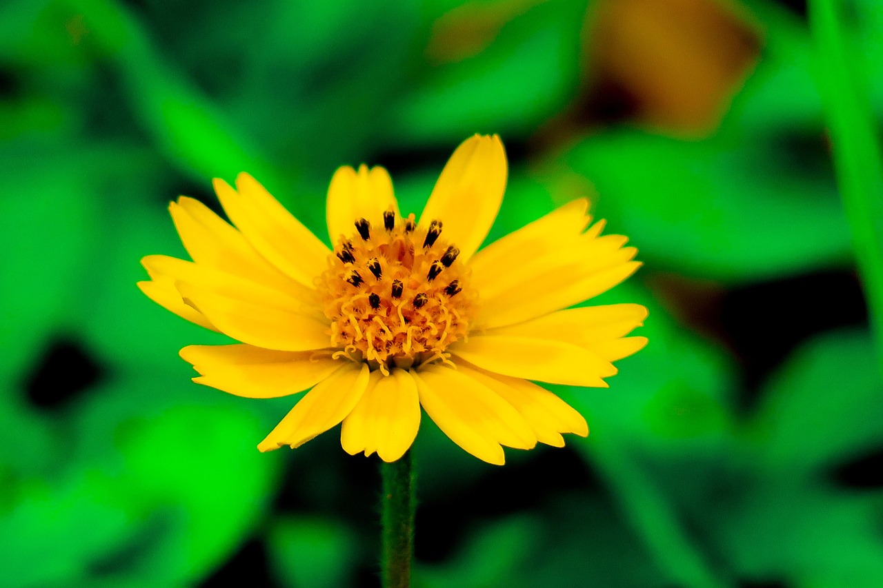 每日一句温馨早安语,唤醒美好一天的能量推荐