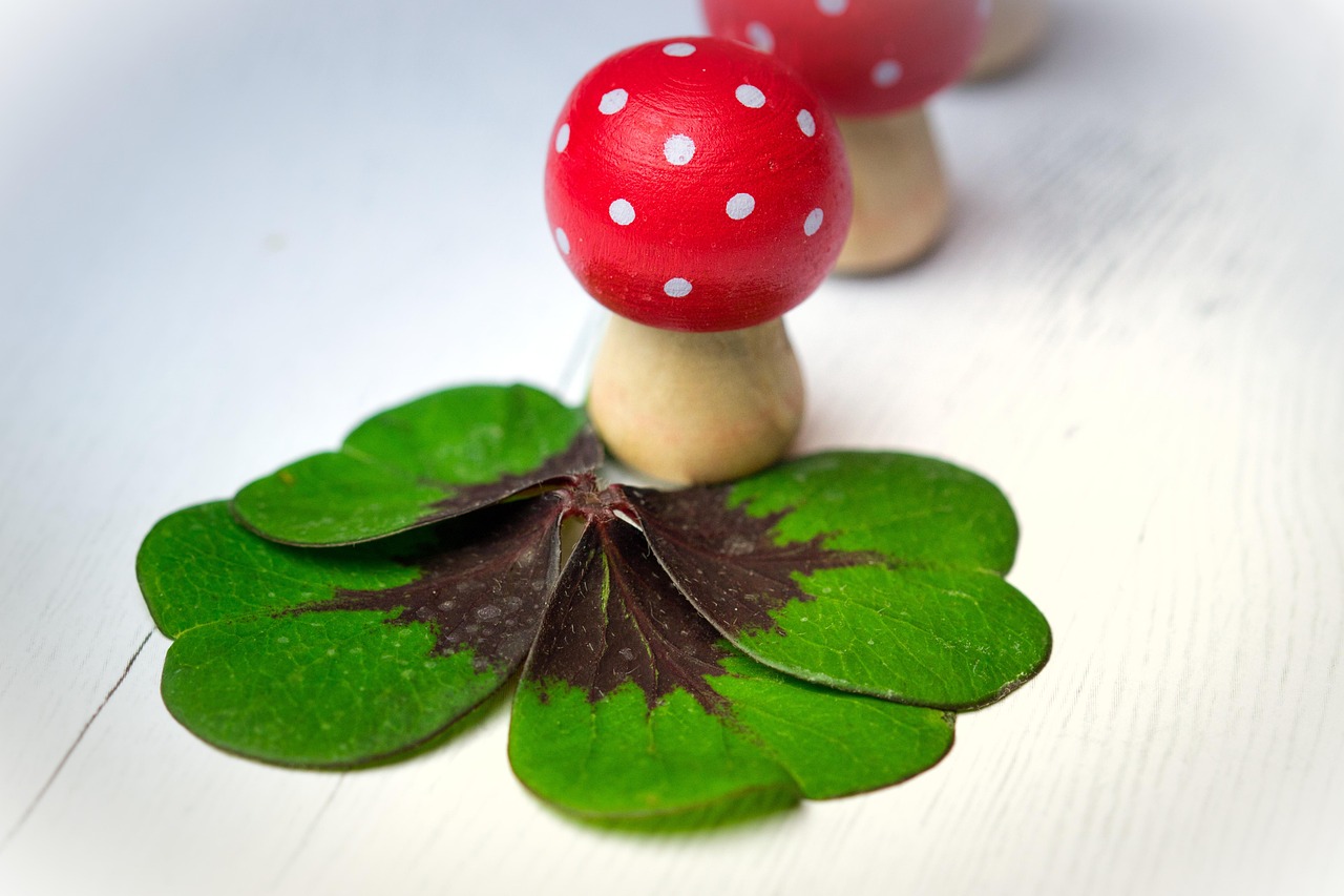 长江投资蓄势待发,引领未来发展新动态