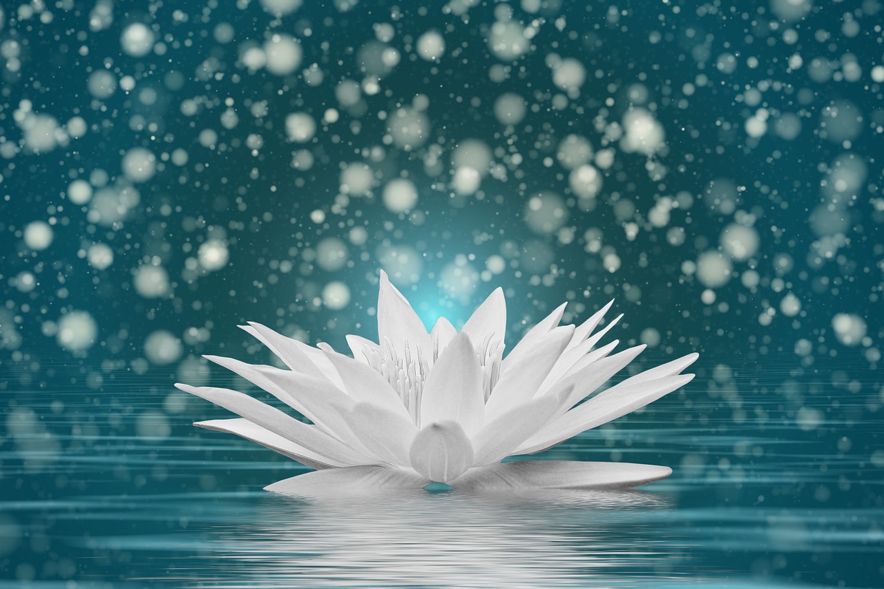 爱恰逢时,情感的交织与命运的转折最新章节